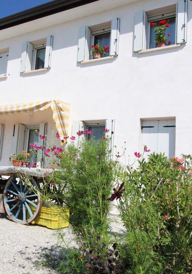 Casa Vilma Hotel Paderno del Grappa Bagian luar foto